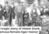 Mabel Stark tamed tigers – and even wrestled with them. Circus and Allied Arts Collection, Illinois State University's Special Collections, Milner Library